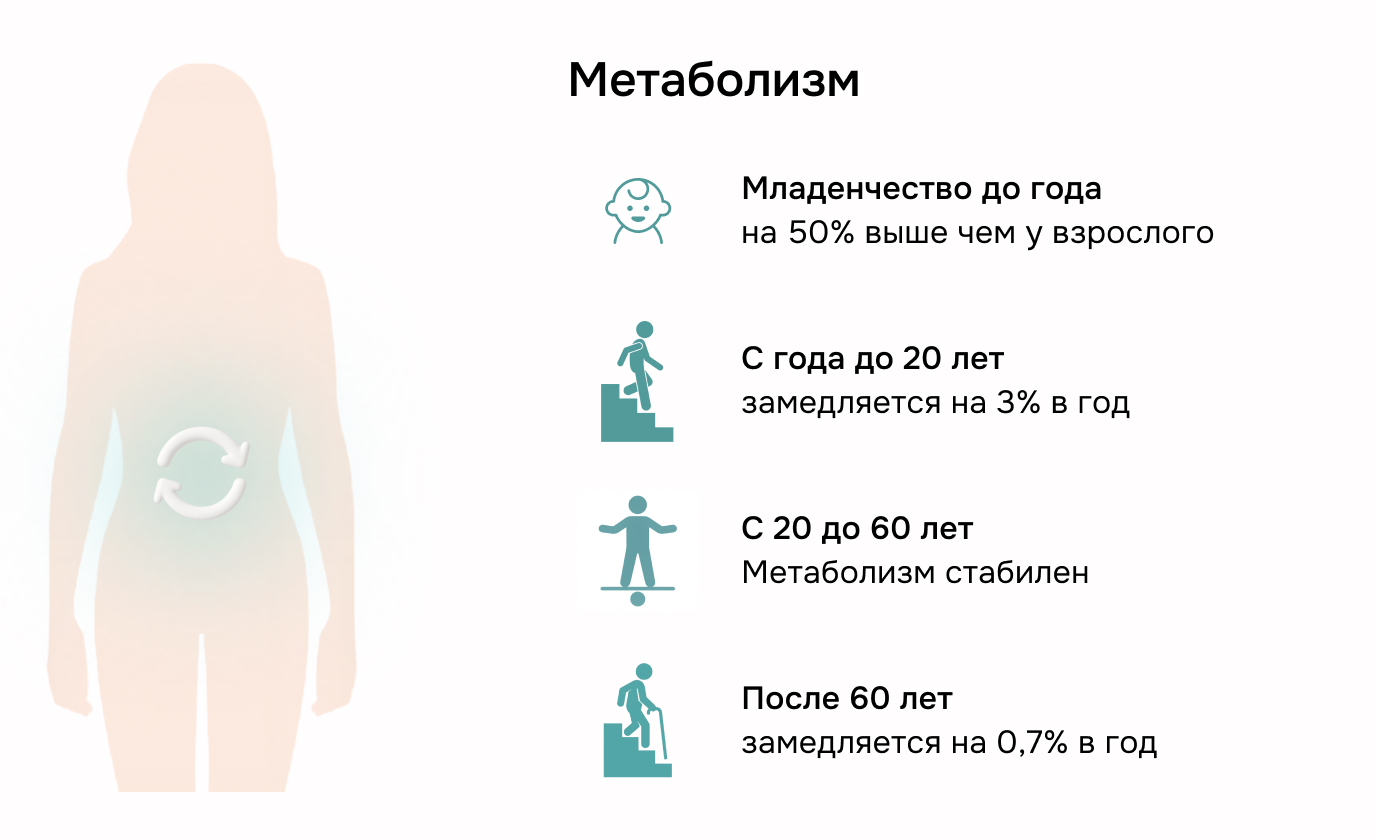 Метаболизм. - Младенчество до года — на 50% выше, чем у взрослого.
    - С года до 20 лет — замедляется на 3% в год.
    - С 20 до 60 лет — метаболизм стабилен.
    - После 60 лет — замедляется на 0,7% в год.