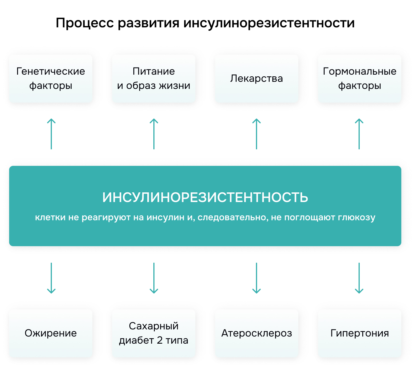 Процесс развития инсулинорезистентности
