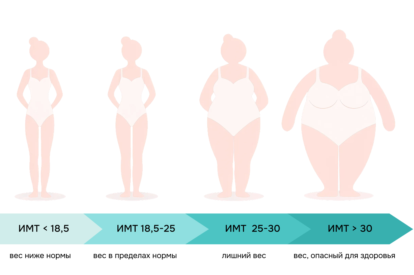 Расчет ИМТ