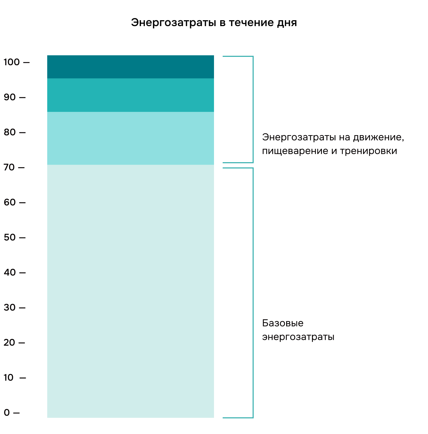 Энергозавтраты в течение дня; Энергозатраты на движение, пищеварение и тренировки; Базовые энергозатраты
