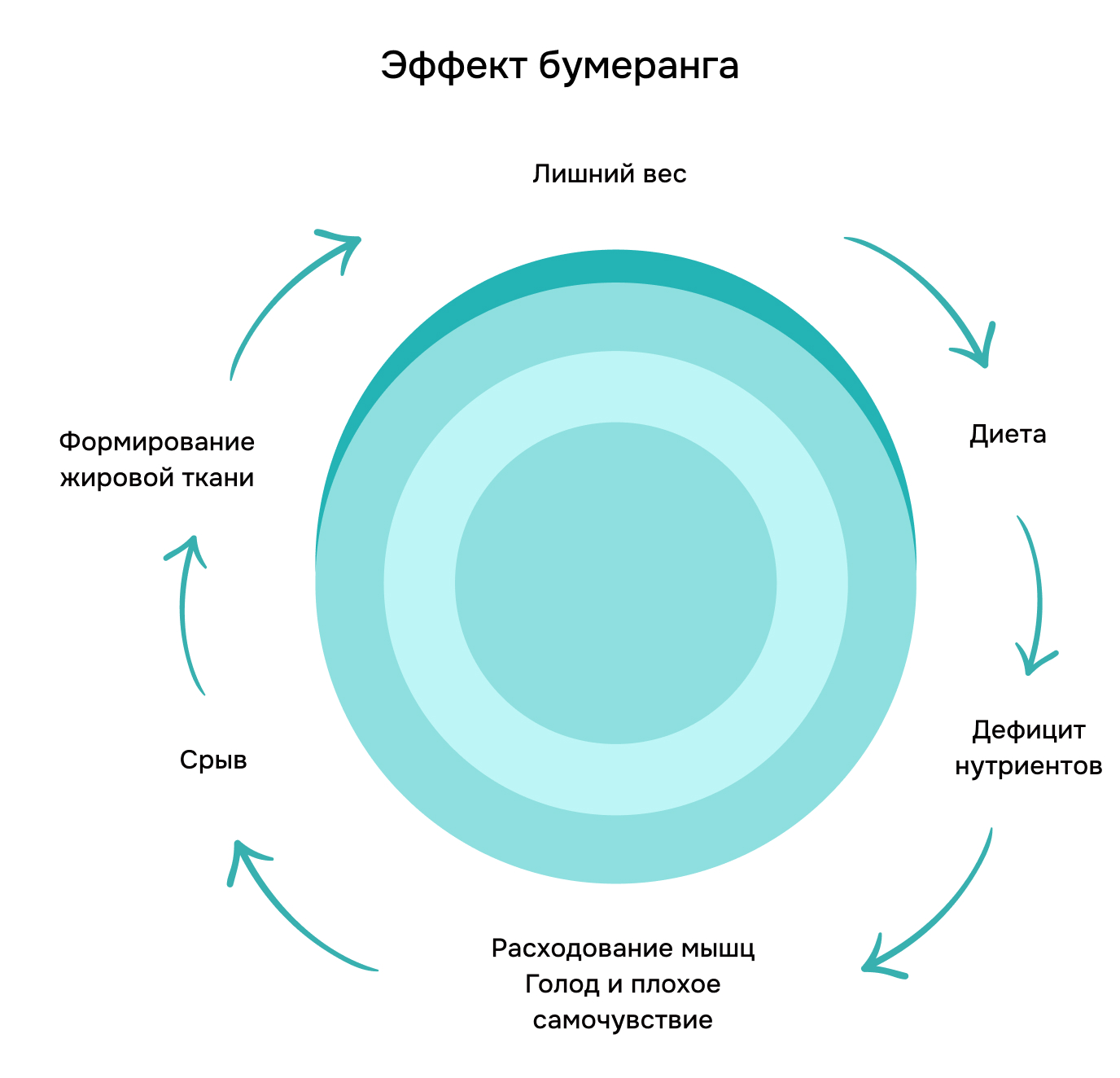 Эффект бумеранга: Лишний вес; Диета; Дефицит нутриентов; Расходование мышц, Голод и плохое самочувствие, Срыв, Формирование жировой ткани