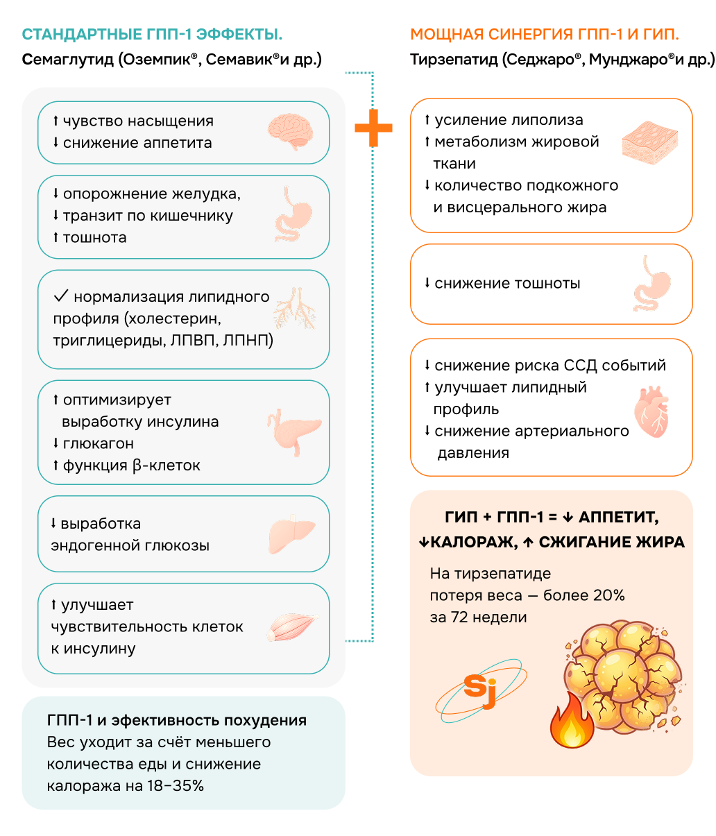 ГПП-1 | ГПП-1 И ГИП