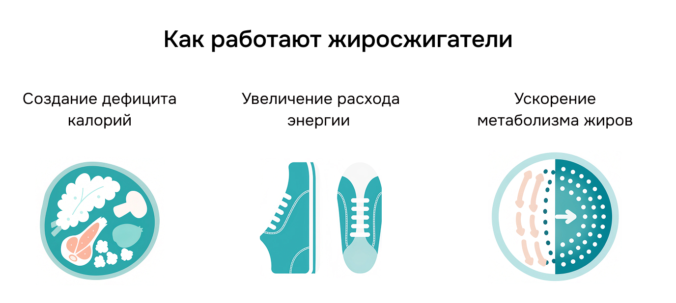 Как работают жиросжигатели